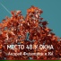 Андрей Федяшкин и Ко