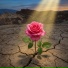 Parth Raval