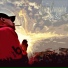 Mc S.J