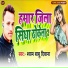 Shyam Babu Deewana