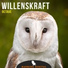 Willenskraft