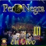 Perla Negra