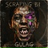 SCRAPING BI