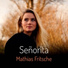 Mathias Fritsche