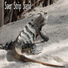 Saur Strip Sand