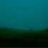 .diedlonely, AMBIVERT