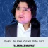 Falak Naz Marwat