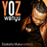 Yoz Wenyu feat. Shinsoman