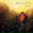 Absolutos
