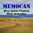 Memocan
