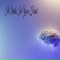 Lights Of Hope
