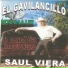 Saul Viera El Gavilancillo