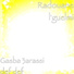 Radouane l'guelmi