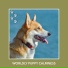 Relaxing Dog Music