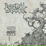 Internal Damage
