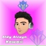 Aldy Alzayn