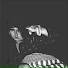 Laurie Shaw