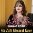 Junaid Khan
