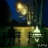R.Hong