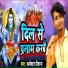 collector diwana
