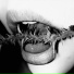 DeadByCastle