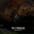 Tibet Om Music
