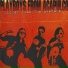 Playboys from Acapulco