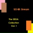 20-Bit Dream