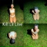 Kill Lil