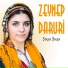Zeynep Daruri