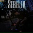 SebeLev