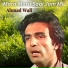 Ahmad Wali