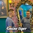 Cheb Amine tiger