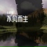 张悟桐