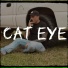 Josh cole