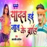 Amarjeet Aashik