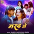 Pradeep Pyare, Shivani Singh