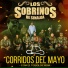 Los Sobrinos De Sinaloa