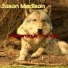 Jason Madison