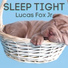 Lucas Fox Jr