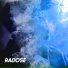 RADOSE