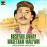 Hasnain Abbas Loony Wala