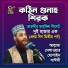 Allama Delwar Hossain Sayedee