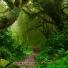 Nature Sounds Winds