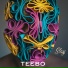 Teebo