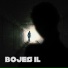 Bojes IL