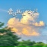 蒋蕙林