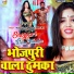 Rajeev Singh Chhotu, Shilpi Raj