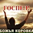 Божья Коровка