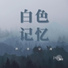 陈洁